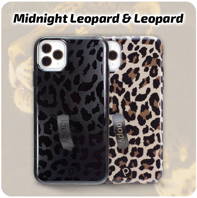 Midnight Leopard & Leopard