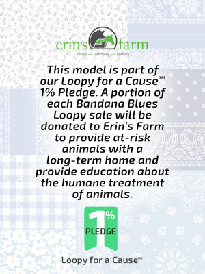A description of our partnership with Erin's Farm. || feature-media